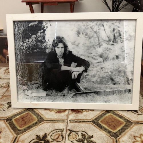 Nick drake framed picture - drake,